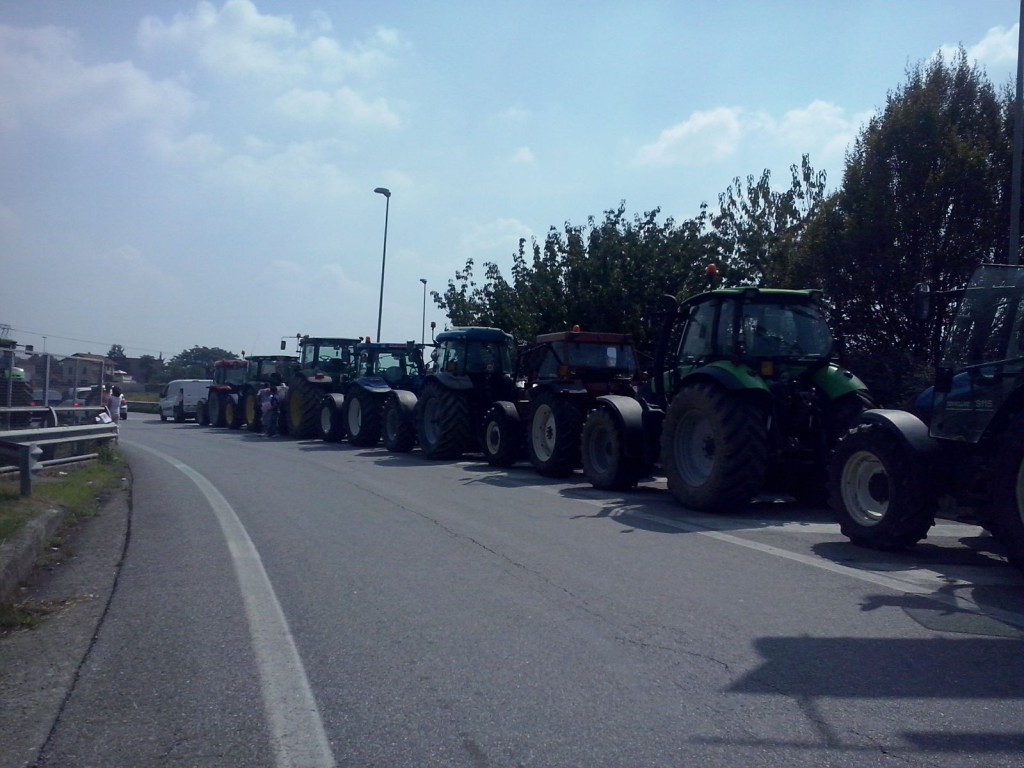 IMG-20150827-WA0018