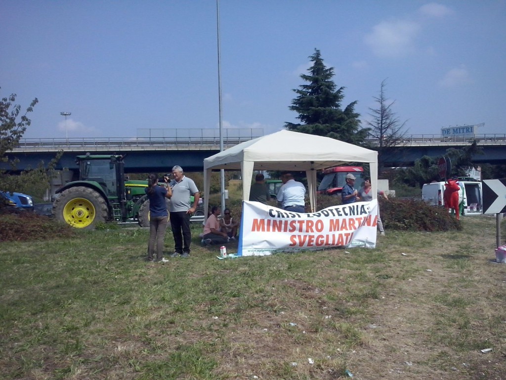 IMG-20150827-WA0025